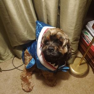 Meet your Posher, Itzel